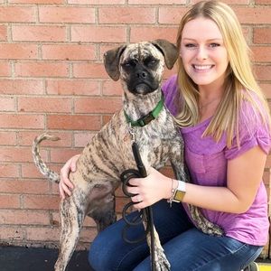 Meet your Posher, Hayli